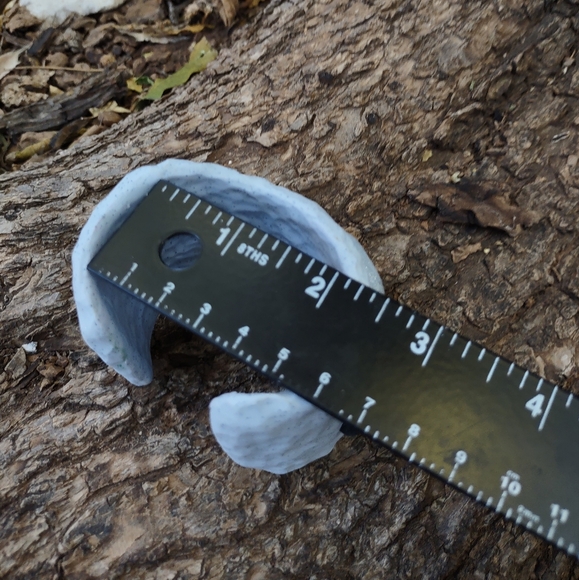 👽 Light Silver 🤍 Bracelet 🩶 Dots🖤 - Picture 6 of 8